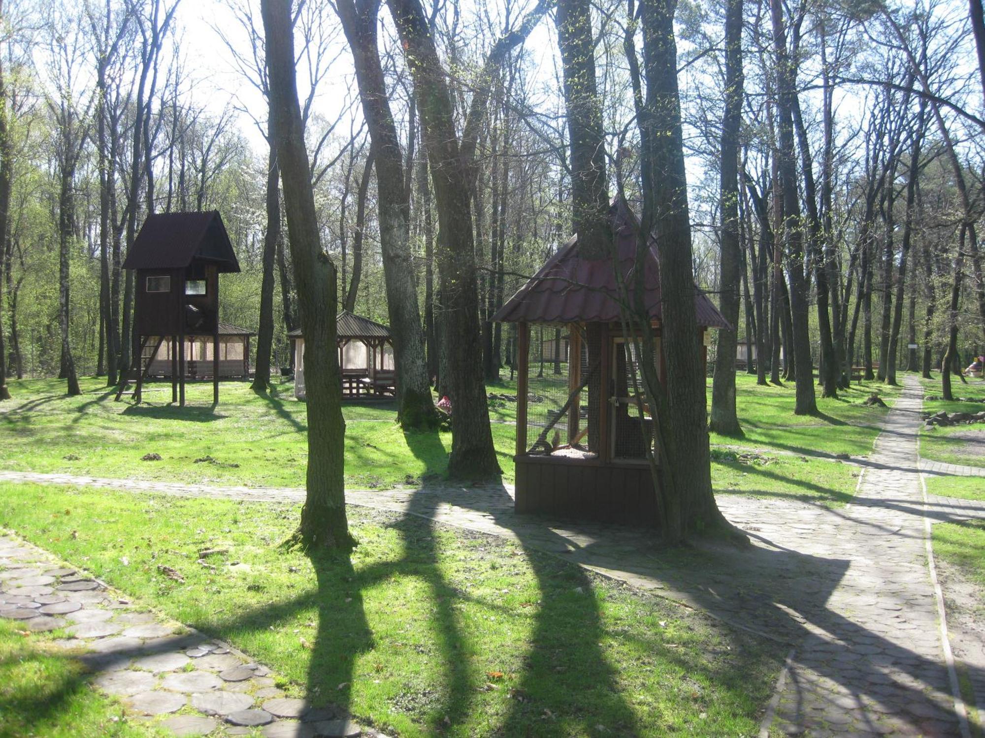 Hotel Complex Zelenyi Gai Kopachuvka Esterno foto