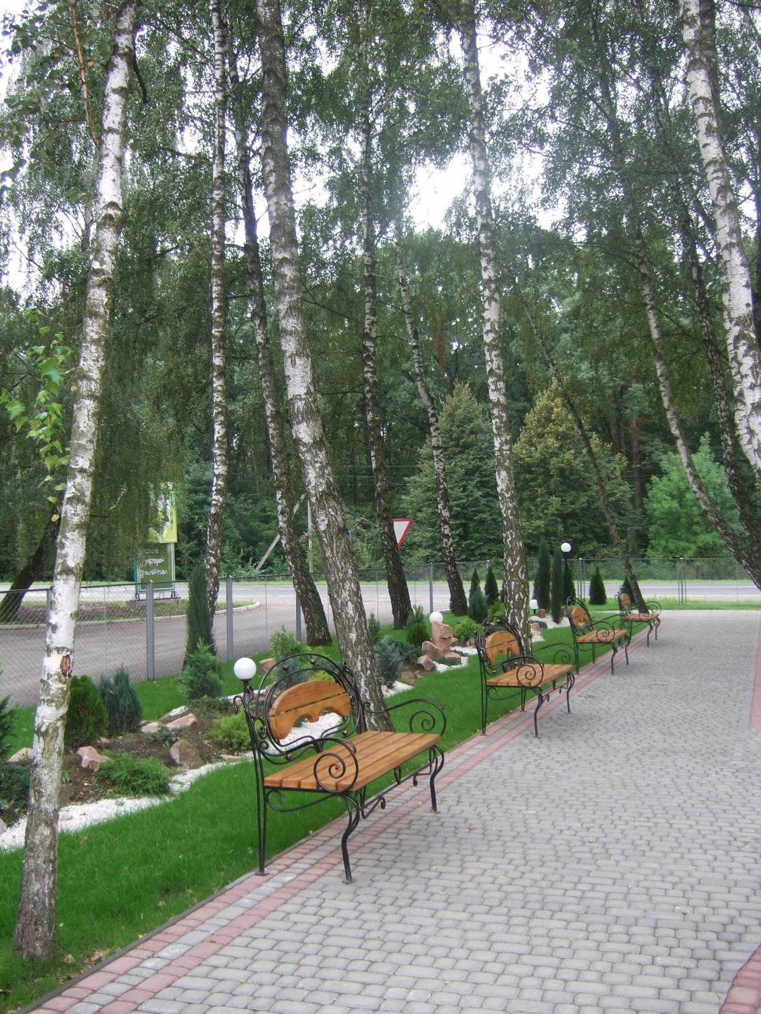 Hotel Complex Zelenyi Gai Kopachuvka Esterno foto
